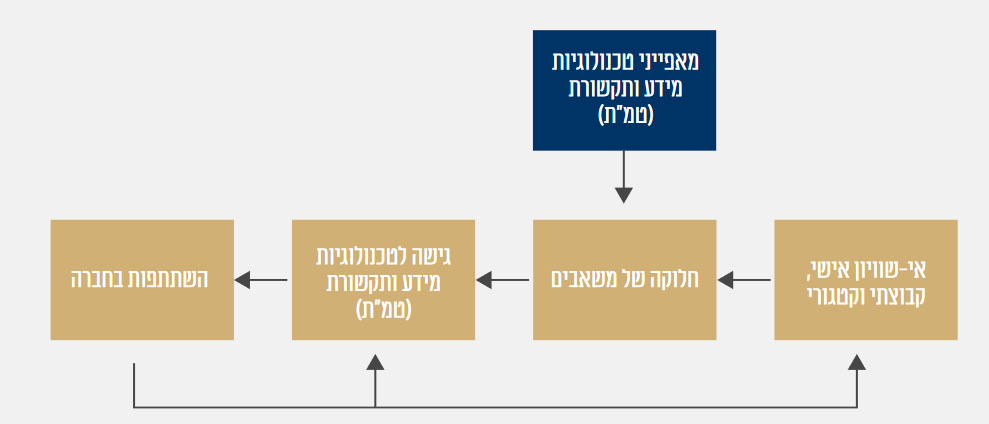 Personal and positional categorical inequalities - אי-שוויון אישי, קבוצתי וקטגורי 
 Distribution of resources - חלוקה של משאבים
Access to ICTs –  גישה לטכנולוגיות מידע ותקשורת (טמ"ת)
Characteristics of ICTs –  מאפייני טכנולוגיות מידע ותקשורת (טמ"ת)
Participation in society –  השתתפות בחברה